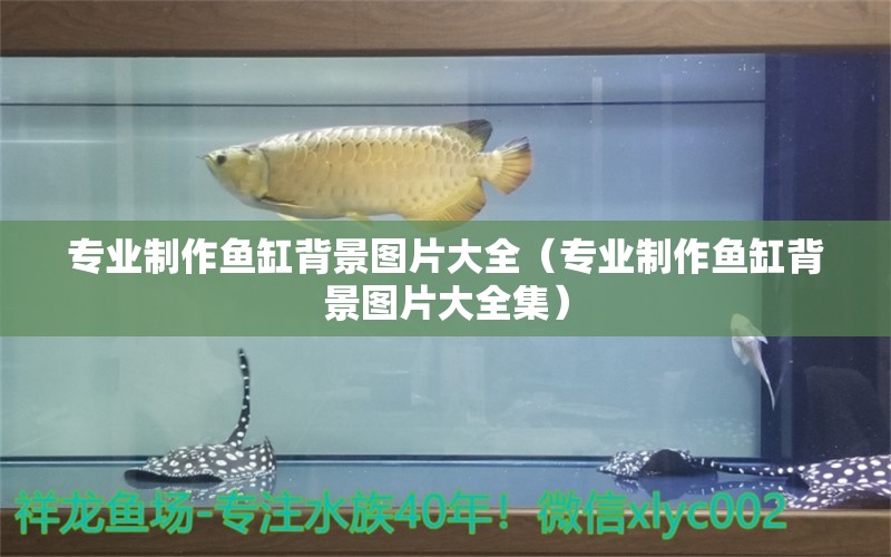 專業(yè)制作魚缸背景圖片大全（專業(yè)制作魚缸背景圖片大全集） 藍(lán)帆三間魚