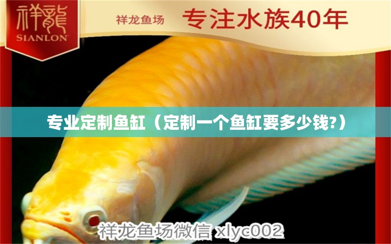 專業(yè)定制魚缸（定制一個(gè)魚缸要多少錢?）