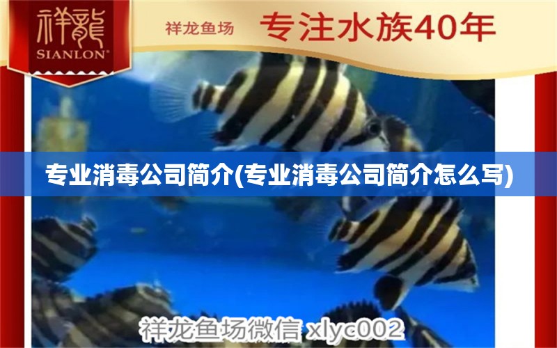 專業(yè)消毒公司簡介(專業(yè)消毒公司簡介怎么寫) 薩伊藍魚