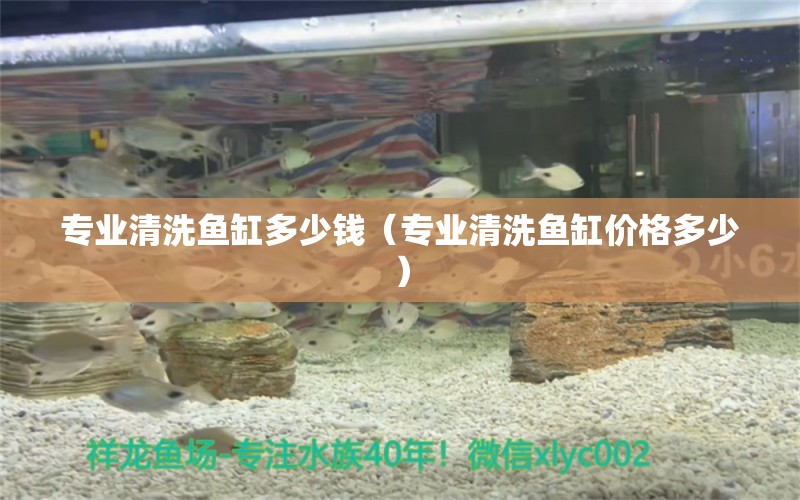 專業(yè)清洗魚缸多少錢（專業(yè)清洗魚缸價格多少） 其他品牌魚缸