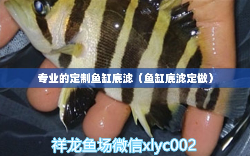 專業(yè)的定制魚缸底濾（魚缸底濾定做） 觀賞魚市場（混養(yǎng)魚）