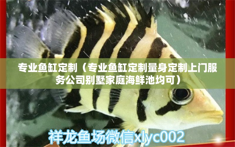 專業(yè)魚缸定制（專業(yè)魚缸定制量身定制上門服務(wù)公司別墅家庭海鮮池均可） 其他品牌魚缸