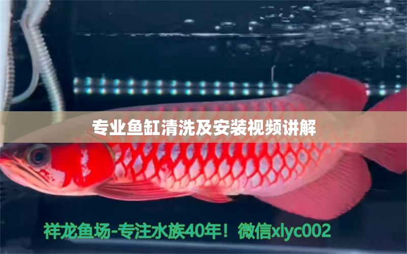 專業(yè)魚缸清洗及安裝視頻講解