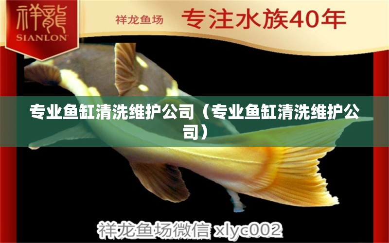 專業(yè)魚缸清洗維護公司（專業(yè)魚缸清洗維護公司）