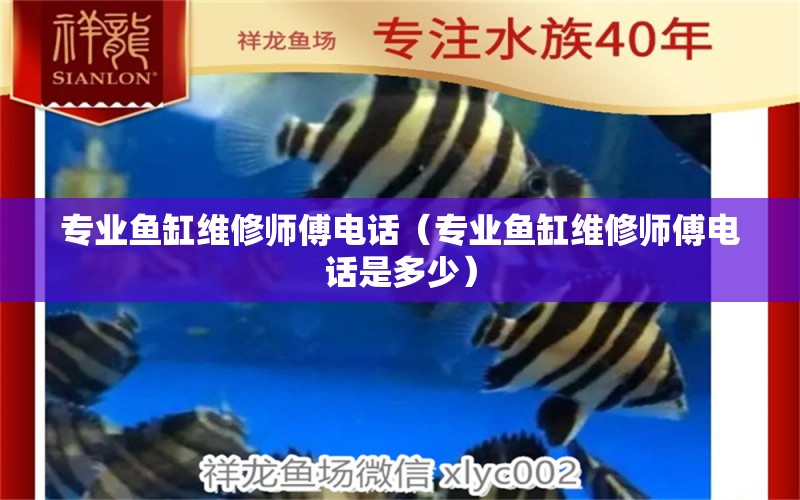 專業(yè)魚缸維修師傅電話（專業(yè)魚缸維修師傅電話是多少） 其他品牌魚缸