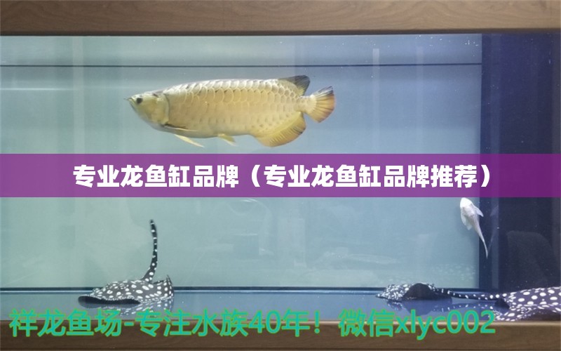 專業(yè)龍魚缸品牌（專業(yè)龍魚缸品牌推薦）