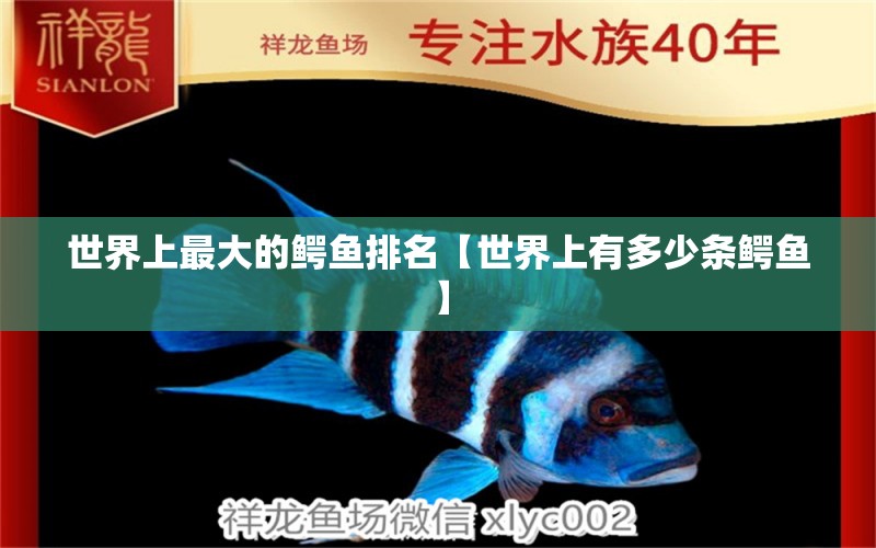 世界上最大的鱷魚排名【世界上有多少條鱷魚】