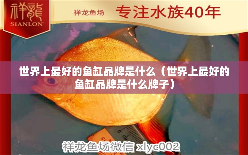 世界上最好的魚缸品牌是什么（世界上最好的魚缸品牌是什么牌子）