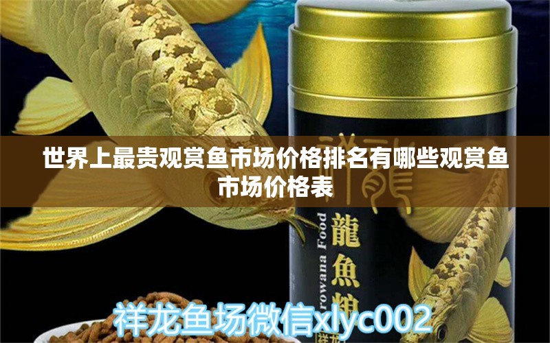 世界上最貴觀賞魚市場價格排名有哪些觀賞魚市場價格表 觀賞魚市場（混養(yǎng)魚）