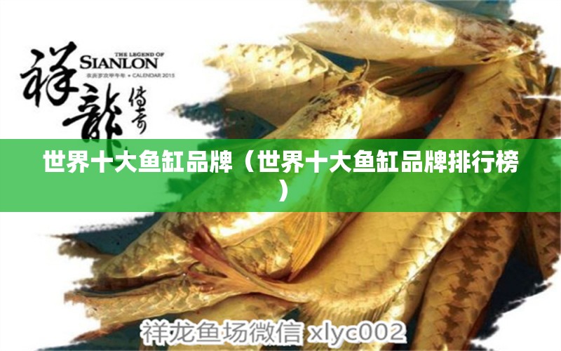 世界十大魚缸品牌（世界十大魚缸品牌排行榜）