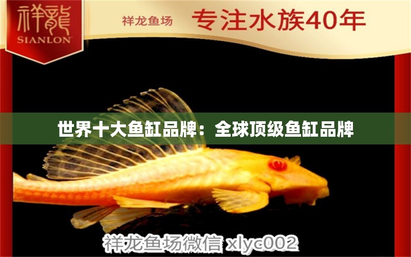 世界十大魚(yú)缸品牌：全球頂級(jí)魚(yú)缸品牌