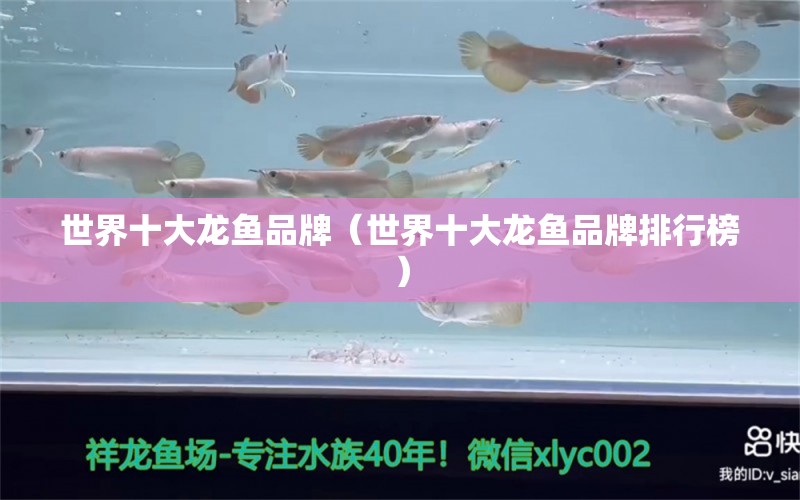 世界十大龍魚品牌（世界十大龍魚品牌排行榜）