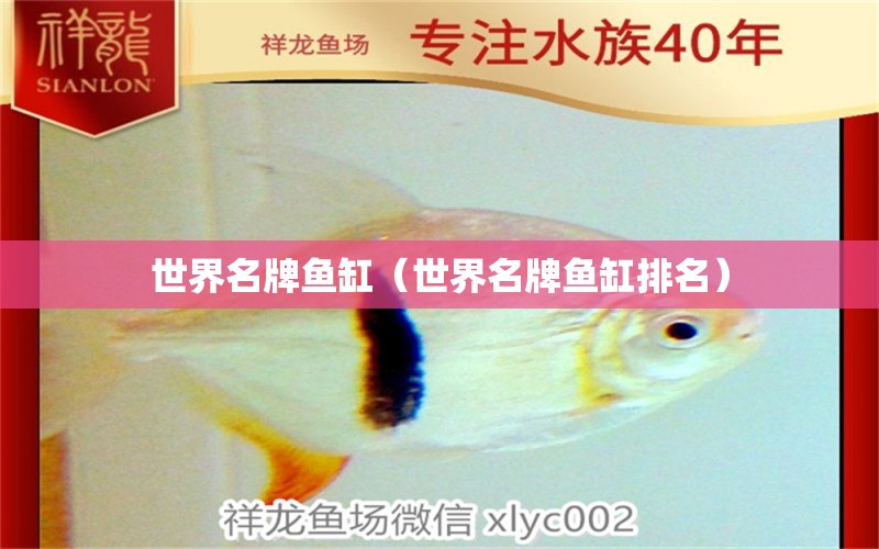 世界名牌魚缸（世界名牌魚缸排名）