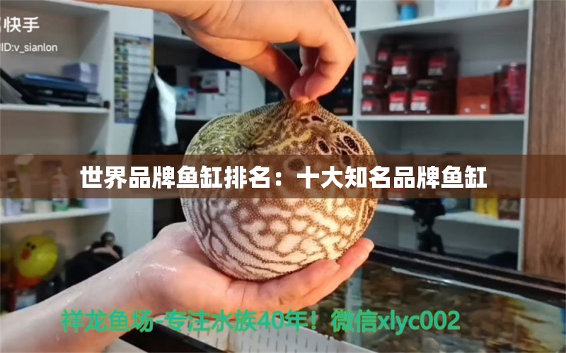 世界品牌魚缸排名：十大知名品牌魚缸