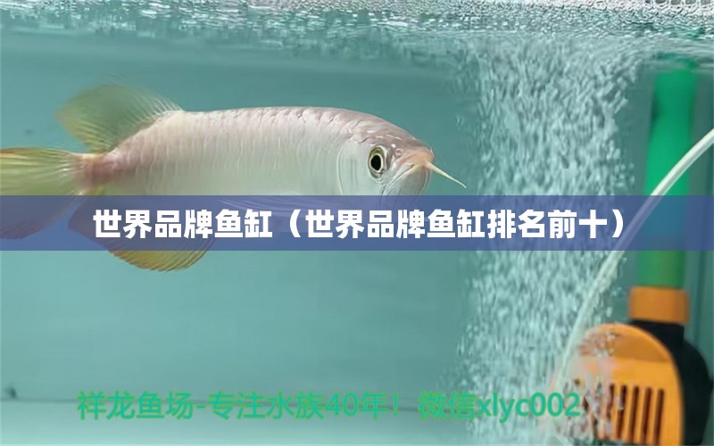 世界品牌魚(yú)缸（世界品牌魚(yú)缸排名前十）