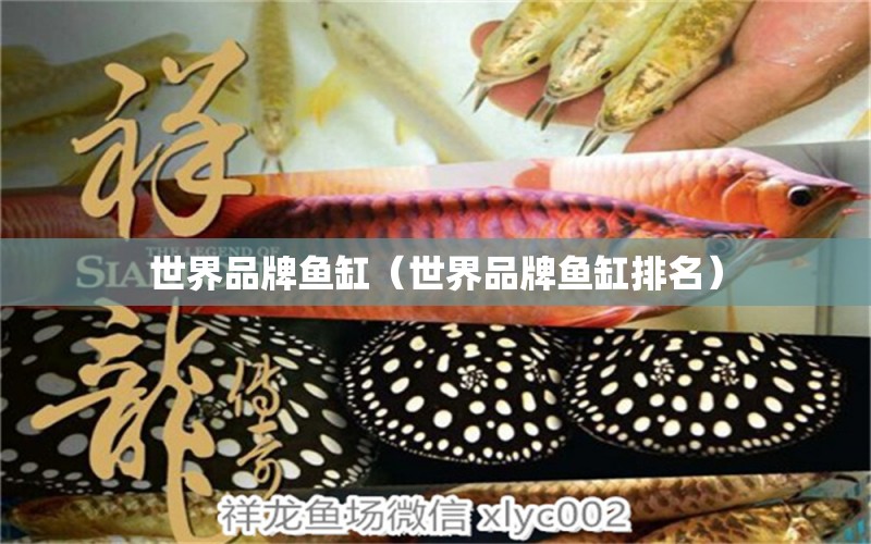 世界品牌魚(yú)缸（世界品牌魚(yú)缸排名）