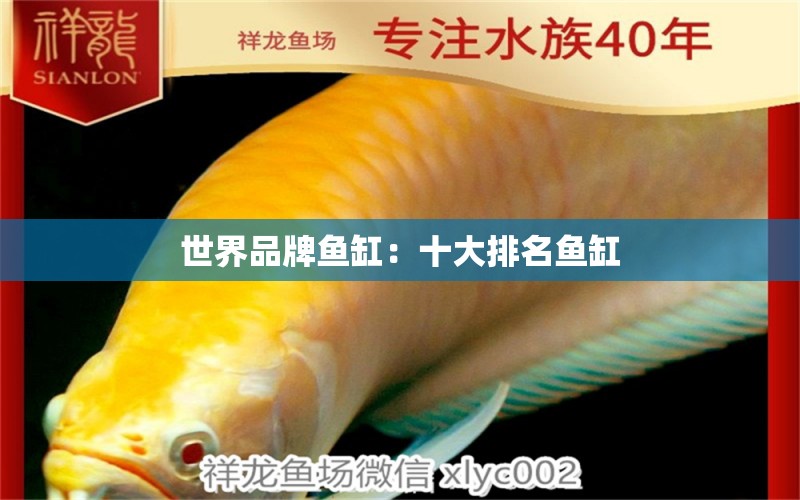 世界品牌魚(yú)缸：十大排名魚(yú)缸