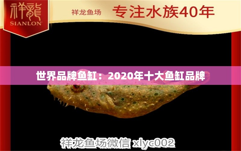 世界品牌魚(yú)缸：2020年十大魚(yú)缸品牌