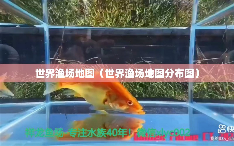 世界漁場地圖（世界漁場地圖分布圖） 祥龍水族醫(yī)院