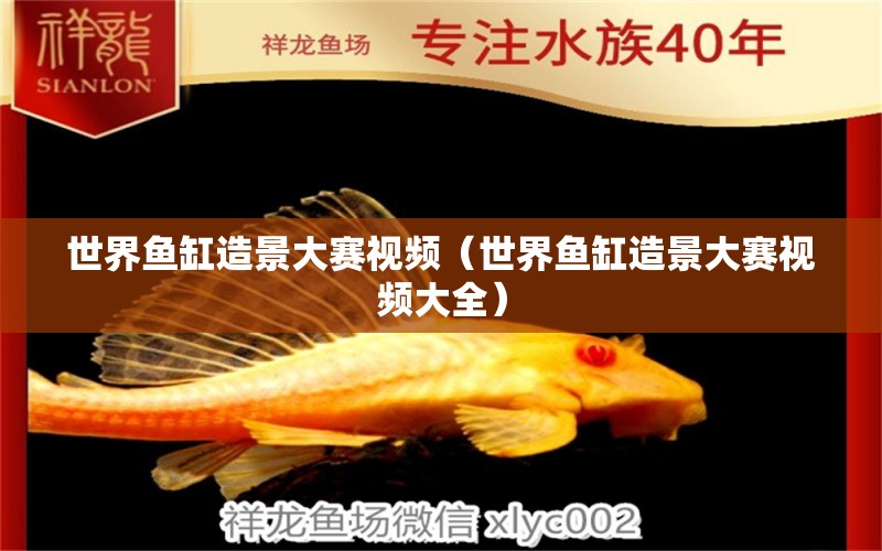 世界魚缸造景大賽視頻（世界魚缸造景大賽視頻大全）