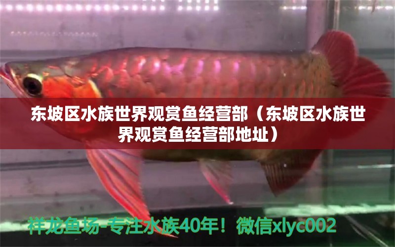 東坡區(qū)水族世界觀賞魚經(jīng)營部（東坡區(qū)水族世界觀賞魚經(jīng)營部地址） 全國水族館企業(yè)名錄