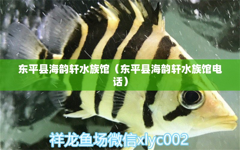 東平縣海韻軒水族館（東平縣海韻軒水族館電話） 全國水族館企業(yè)名錄