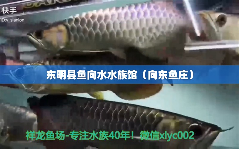 東明縣魚向水水族館（向東魚莊） 全國(guó)水族館企業(yè)名錄