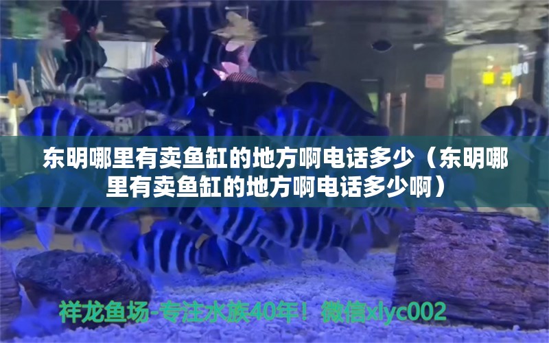 東明哪里有賣魚缸的地方啊電話多少（東明哪里有賣魚缸的地方啊電話多少?。? title=