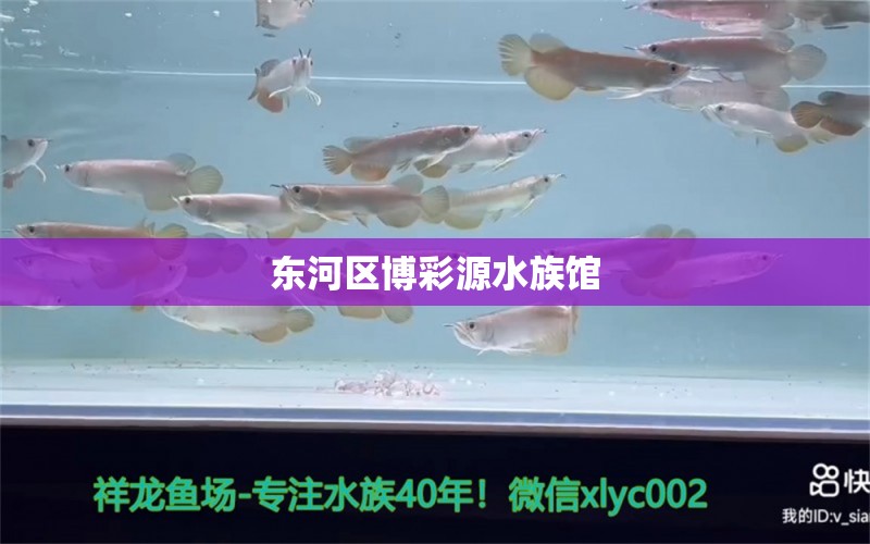 東河區(qū)博彩源水族館