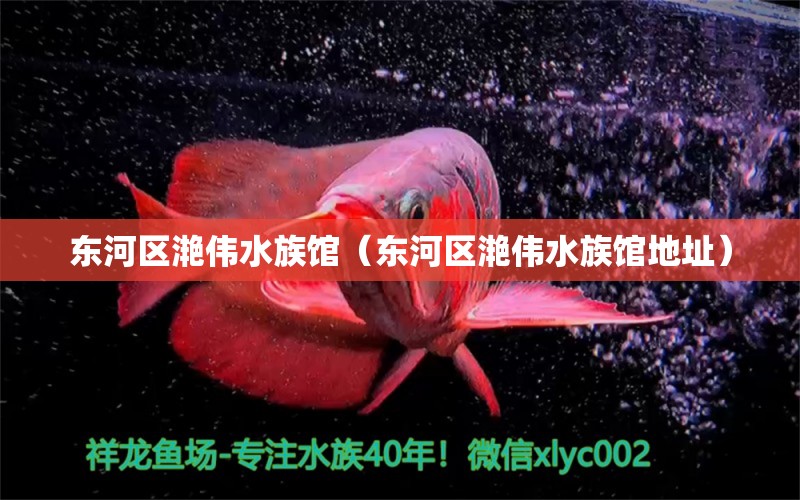 東河區(qū)滟偉水族館（東河區(qū)滟偉水族館地址）