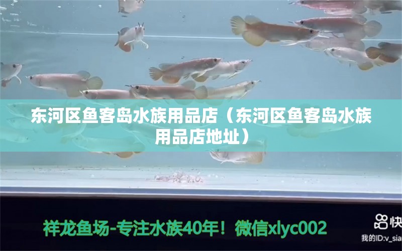 東河區(qū)魚客島水族用品店（東河區(qū)魚客島水族用品店地址）