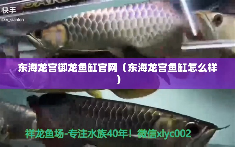 東海龍宮御龍魚缸官網(wǎng)（東海龍宮魚缸怎么樣）