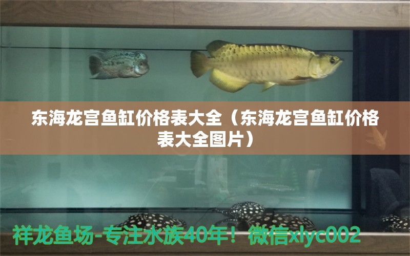 東海龍宮魚缸價格表大全（東海龍宮魚缸價格表大全圖片） 祥龍水族醫(yī)院