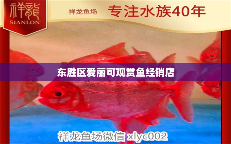 東勝區(qū)愛麗可觀賞魚經(jīng)銷店 全國水族館企業(yè)名錄