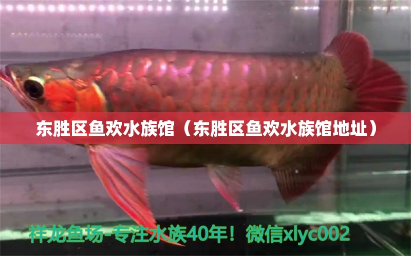 東勝區(qū)魚(yú)歡水族館（東勝區(qū)魚(yú)歡水族館地址） 全國(guó)水族館企業(yè)名錄