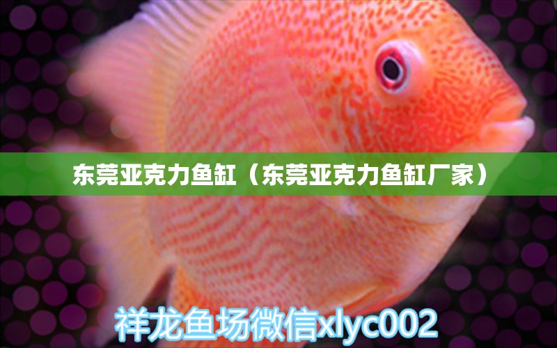 東莞亞克力魚缸（東莞亞克力魚缸廠家） 其他品牌魚缸