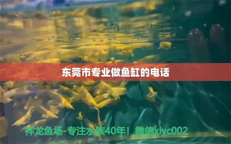 東莞市專業(yè)做魚缸的電話 其他品牌魚缸