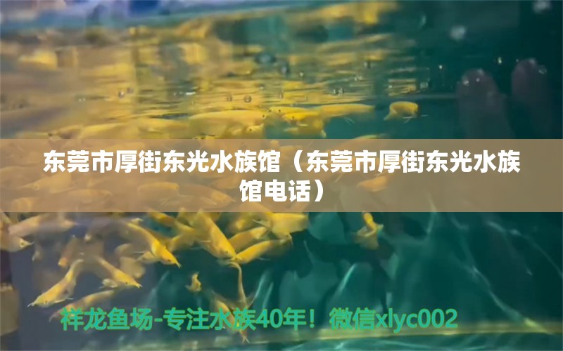 東莞市厚街東光水族館（東莞市厚街東光水族館電話） 全國(guó)水族館企業(yè)名錄