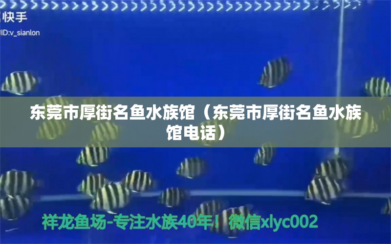 東莞市厚街名魚水族館（東莞市厚街名魚水族館電話） 全國水族館企業(yè)名錄