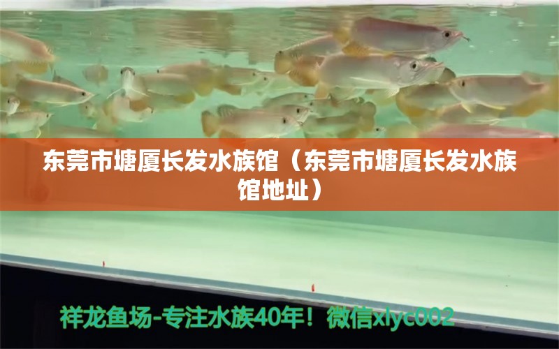 東莞市塘廈長(zhǎng)發(fā)水族館（東莞市塘廈長(zhǎng)發(fā)水族館地址）