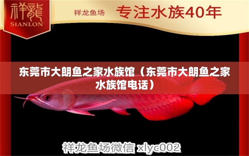 東莞市大朗魚(yú)之家水族館（東莞市大朗魚(yú)之家水族館電話） 全國(guó)水族館企業(yè)名錄