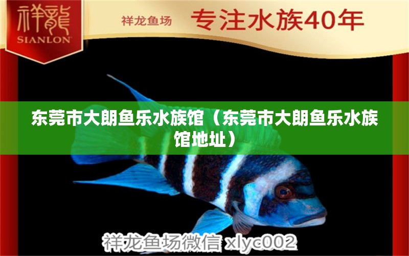 東莞市大朗魚樂水族館（東莞市大朗魚樂水族館地址） 全國水族館企業(yè)名錄