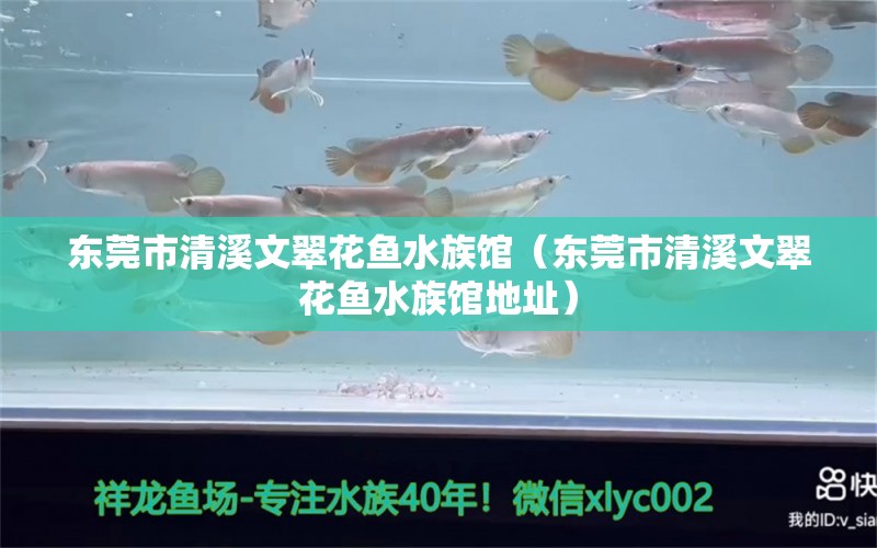 東莞市清溪文翠花魚水族館（東莞市清溪文翠花魚水族館地址） 全國水族館企業(yè)名錄