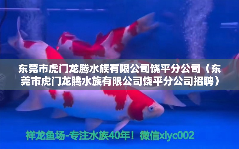 東莞市虎門龍騰水族有限公司饒平分公司（東莞市虎門龍騰水族有限公司饒平分公司招聘）