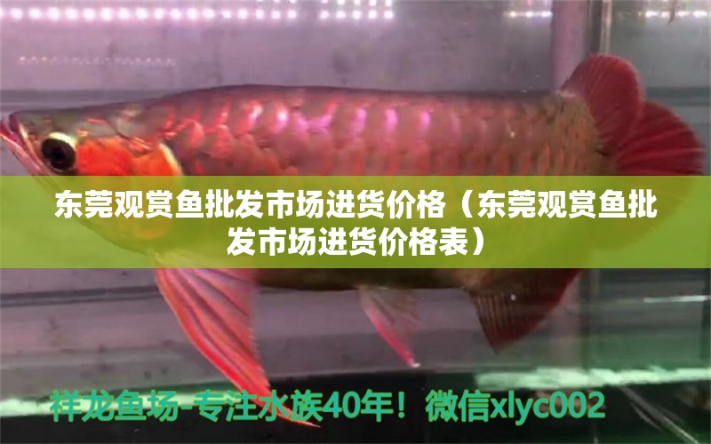 東莞觀賞魚(yú)批發(fā)市場(chǎng)進(jìn)貨價(jià)格（東莞觀賞魚(yú)批發(fā)市場(chǎng)進(jìn)貨價(jià)格表） 觀賞魚(yú)批發(fā)