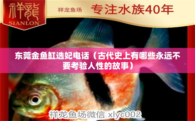 東莞金魚缸選妃電話（古代史上有哪些永遠(yuǎn)不要考驗人性的故事） 充氧泵 第1張