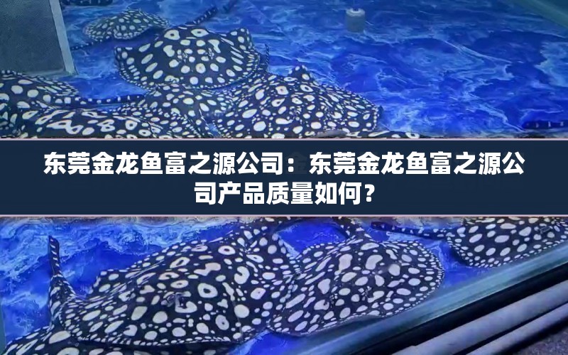 東莞金龍魚富之源公司：東莞金龍魚富之源公司產(chǎn)品質(zhì)量如何？