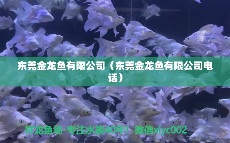 東莞金龍魚(yú)有限公司（東莞金龍魚(yú)有限公司電話）