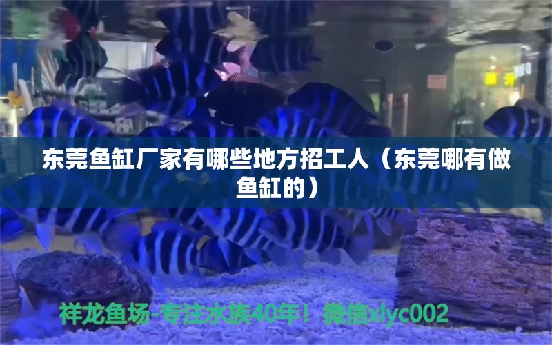 東莞魚缸廠家有哪些地方招工人（東莞哪有做魚缸的） 廣州觀賞魚批發(fā)市場