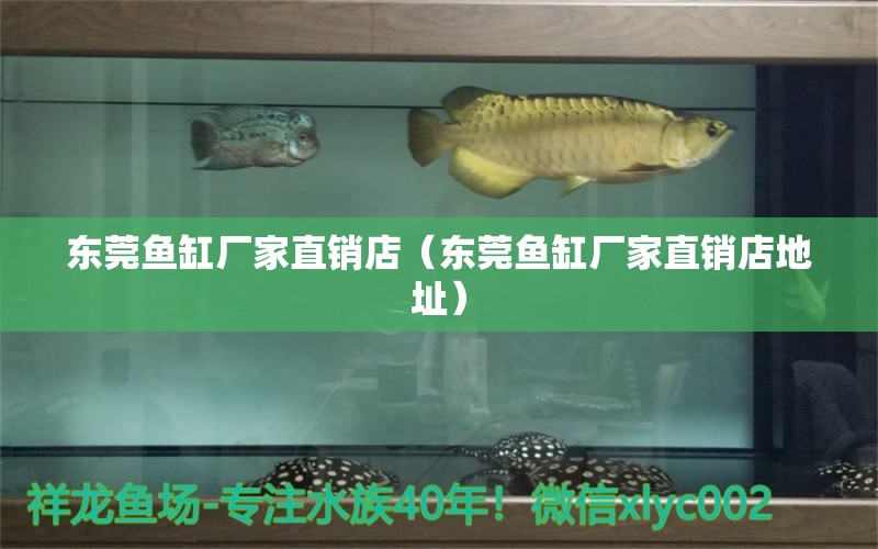 東莞魚(yú)缸廠家直銷店（東莞魚(yú)缸廠家直銷店地址） 其他品牌魚(yú)缸